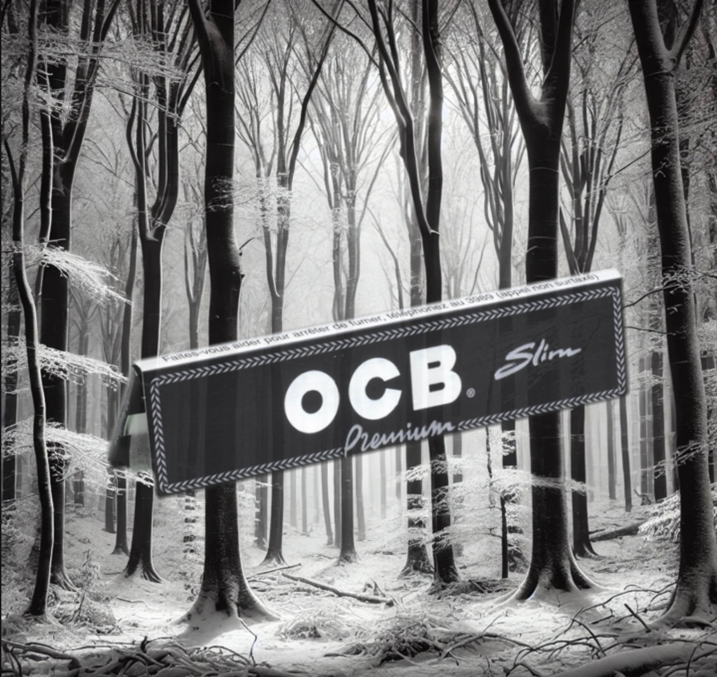 Feuilles à rouler OCB Slim Premium